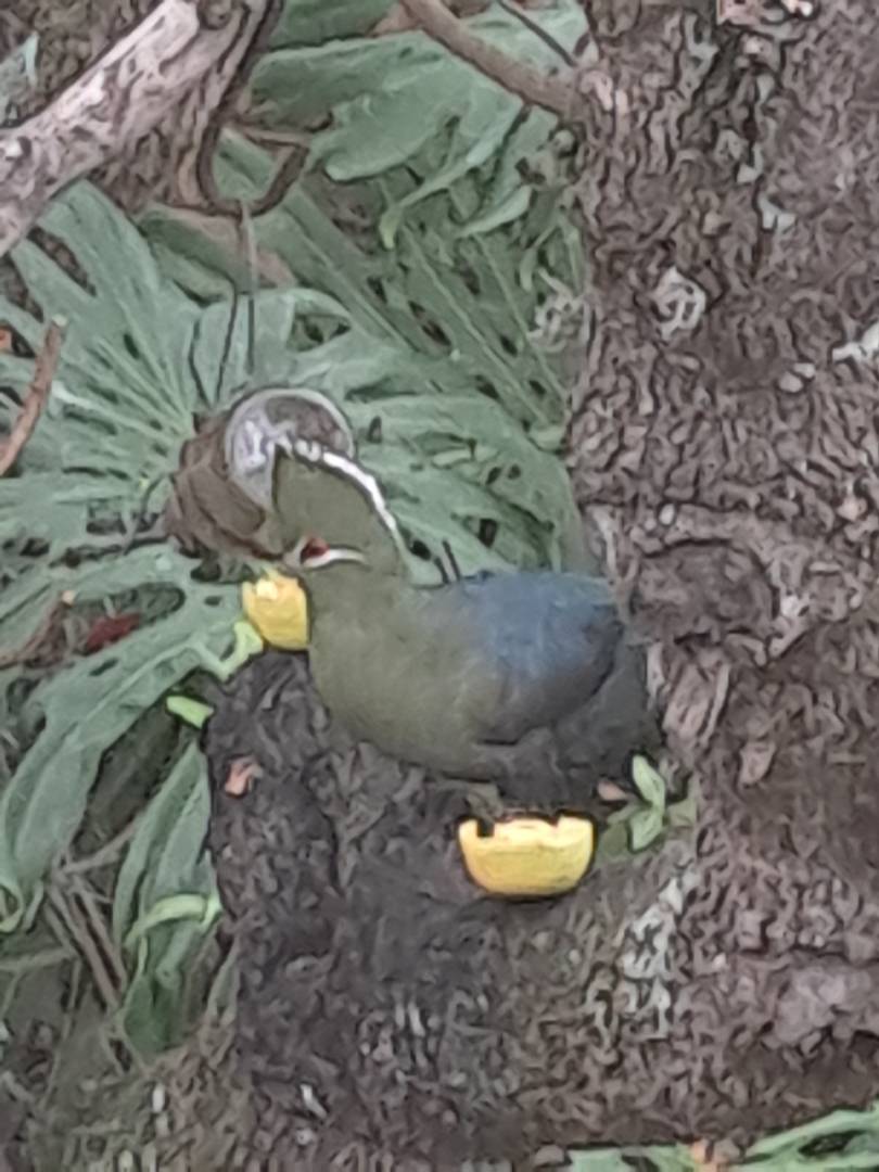 0 Bedroom Property for Sale in Gamtoos Mouth Eastern Cape